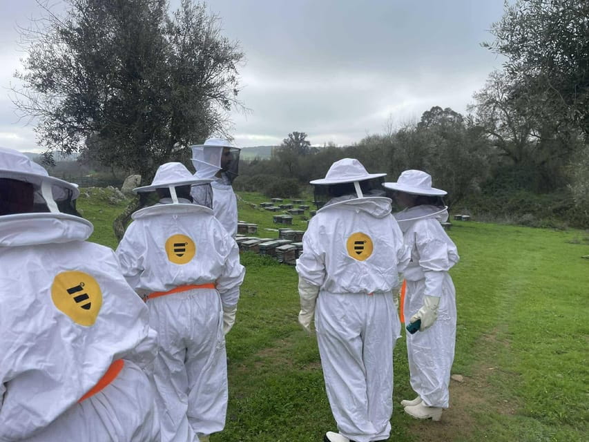 Évora or Montemor: Beekeeping, Chocolate factory, Wine tasting - Who Will Love This Tour?