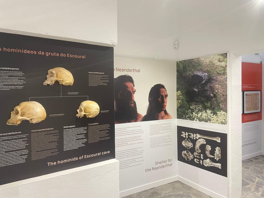 Évora or Montemor: Guided Tour of the Escoural Caves - Visiting the Interpretation Center: Setting the Scene