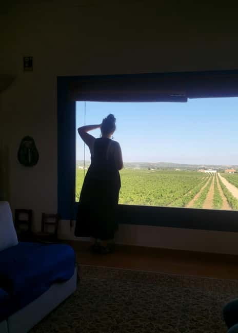 Évora & Wines: A Taste of Authentic Alentejo - Price and Logistics