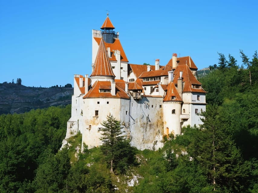 Exclusiv Dracula Bran Castle Day trip - only 6-7 hours - What Makes This Tour Stand Out?