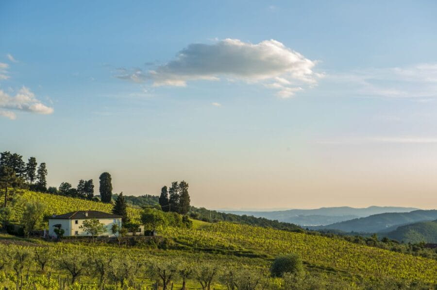 Exclusive Chianti Rufina Half-Day with lunch from Florence - The Itinerary: What to Expect from Morning to Afternoon