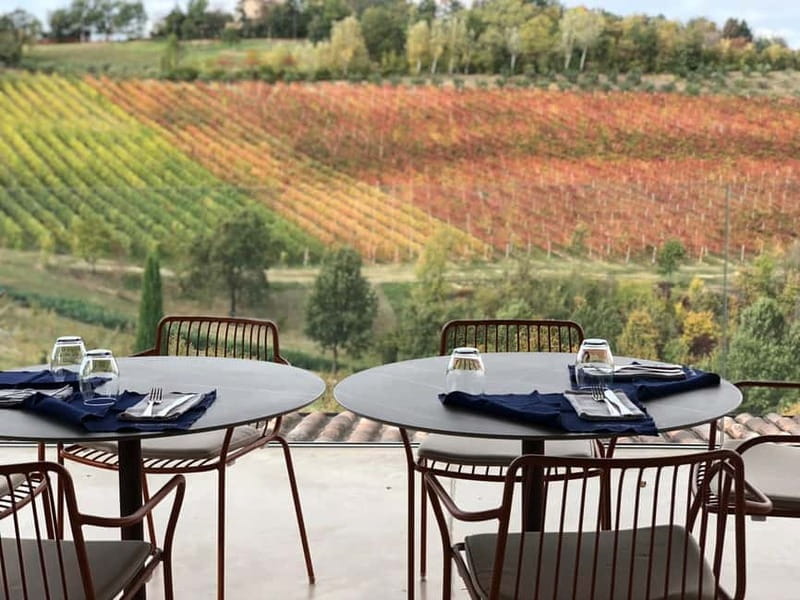 Exclusive Ferrari and Pagani Tour from Florence - What It’s Like to Experience the Ferrari and Pagani Museums