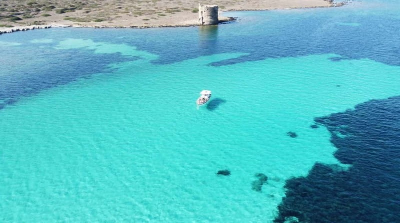 Exclusive sunset boat trip in the Asinara National Park - The Experience Begins: Setting Out from Marina di Stintino