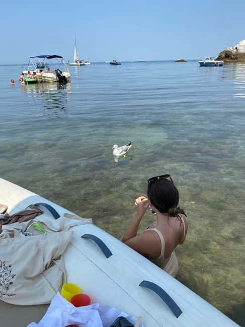 Excursion Bateau Biarritz, Pays basque - The Speedboat Transfers: Fast and Fun