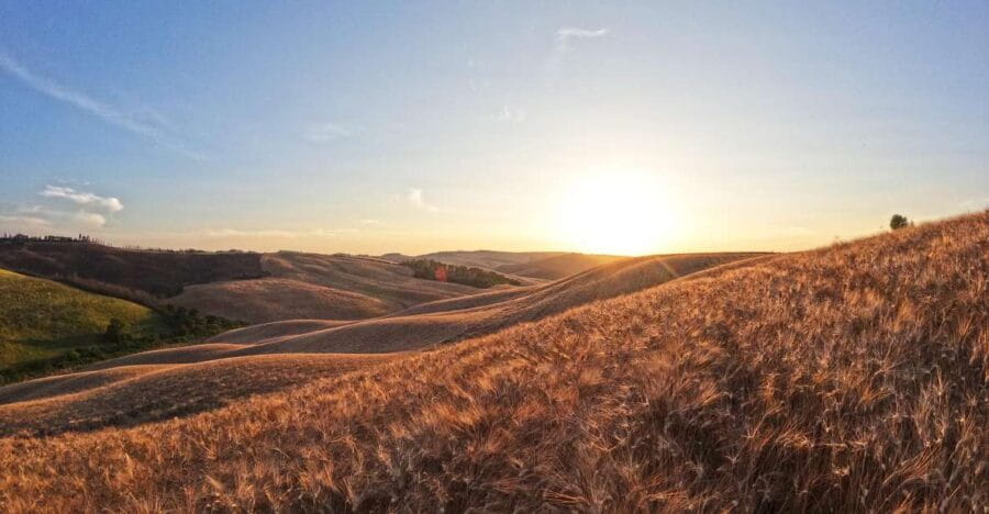 Experience with birds of prey in Tuscany - Analyzing the Value: Is It Worth It?