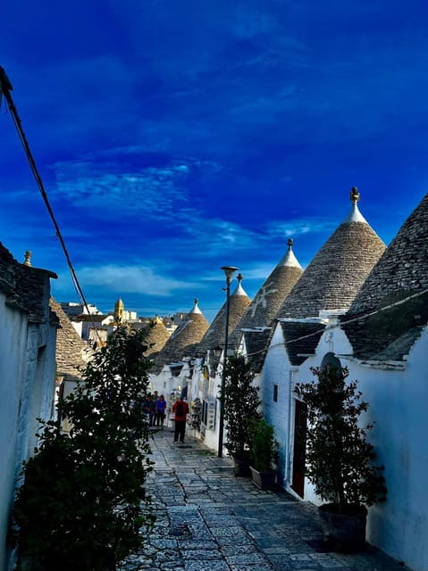 Expert Guided Tour & Tasting, Alberobello - Who This Tour Is Perfect For