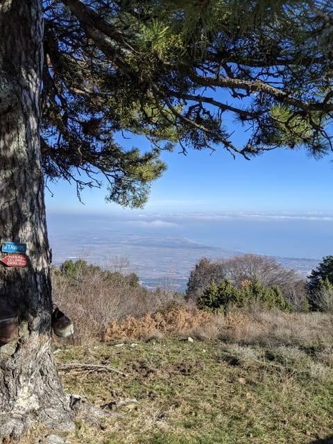 Explore Mount Olympus & Dion: History & Nature Day Trip - Final Thoughts