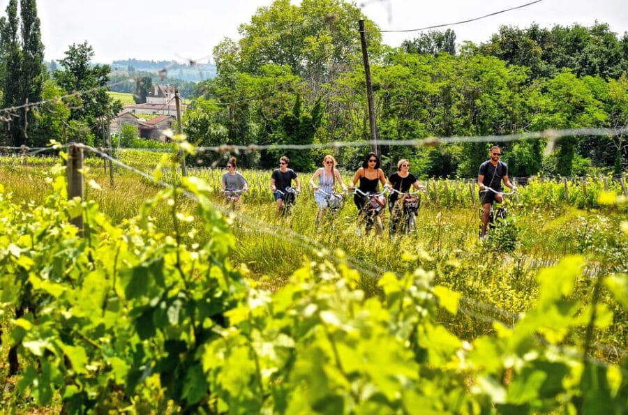 Explore Saint-Émilion on e-Bikes: Small Group, half-Day Tour - Price & Value Analysis