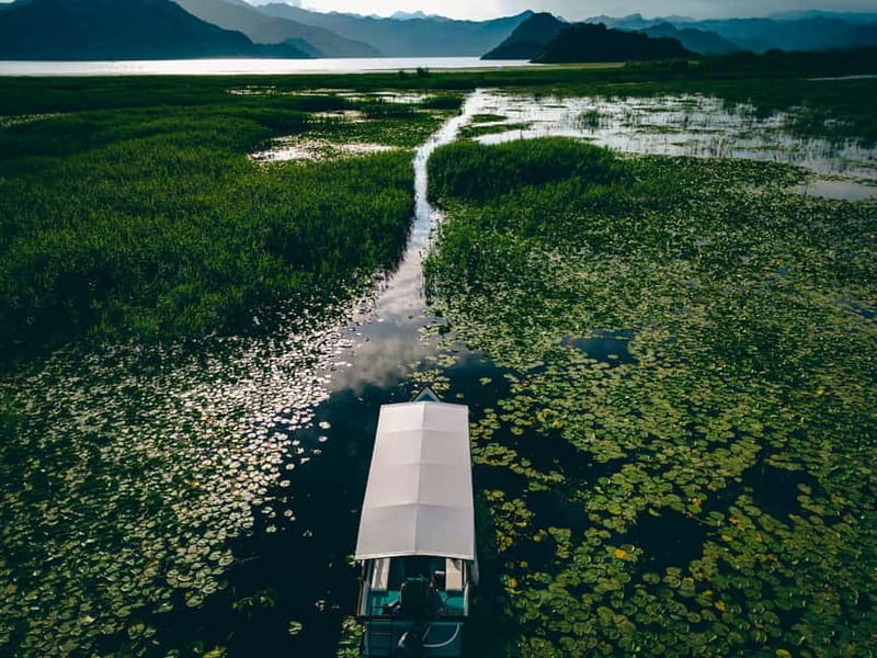 Explore Skadar Lake: Exclusive Guided Boat Falcon Tour! - Final Thoughts: Who Should Consider This Experience?