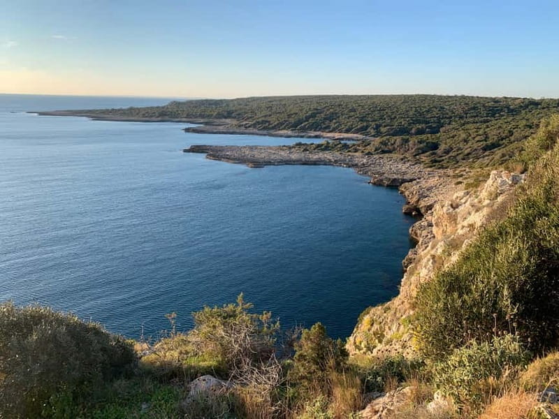 Explore the Beauty of Porto Selvaggio Self-Guided Bike Tour - Price and Value