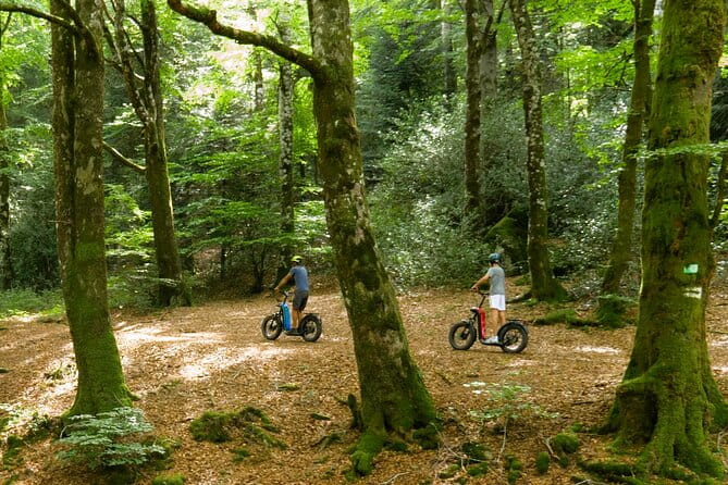 Explore the forests of Haut Languedoc on an electric scooter - Key Points / Takeaways