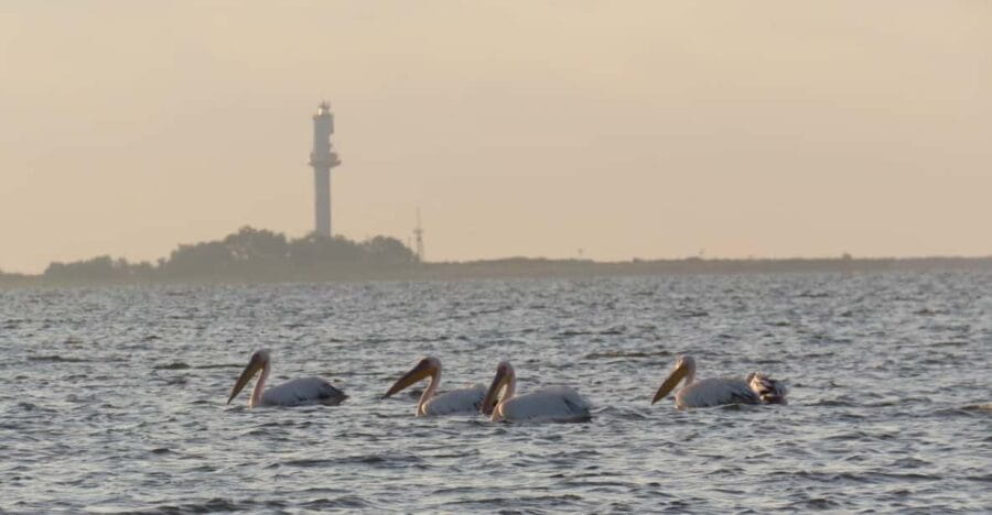 Exploring the Magic of the Danube Delta through photo lenses - FAQ