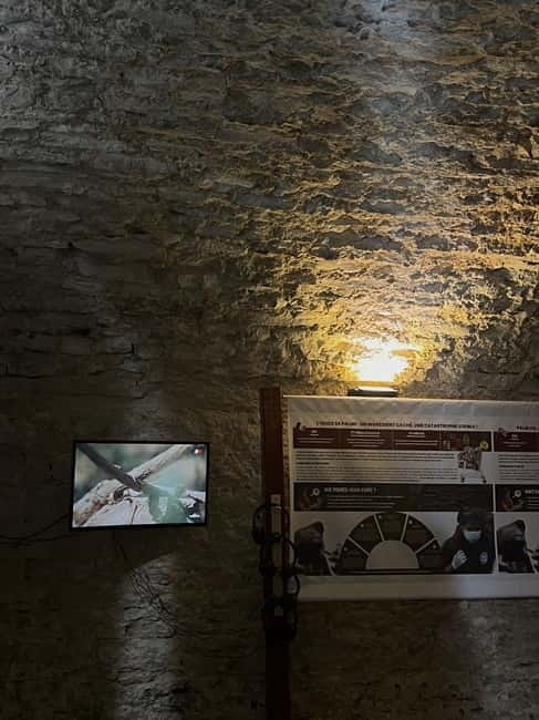 Exposition "Les forêts en souffrance" & Dégustation de vins - A Well-Structured Itinerary for a Compact Experience