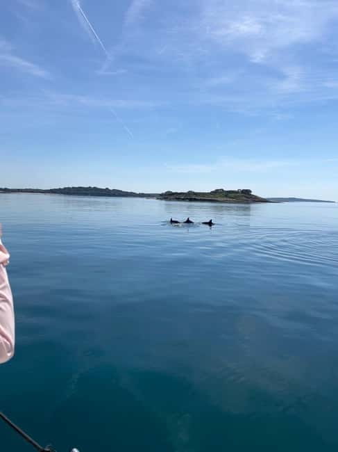 Faana: Dolphin & Sunset - Why This Tour Is Great Value