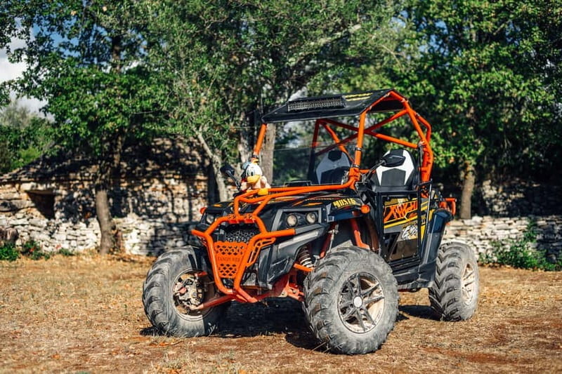 Faana: Guided Buggy Tour in the Heart of Istria - The Experience of the Route