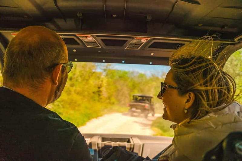 Faana/Pula: Official Istra Buggy "Classico" Tour - Price and Logistics: What You Need to Know