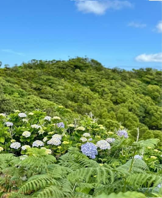 Faial Island: Caldeira Perimeter Hiking Tour - The View from the Top: Why It’s Worth It