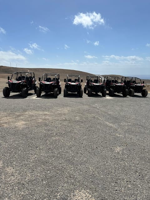 Family buggy - 4 seats, on road tour - What to Expect from the Tour: A Step-by-Step Breakdown