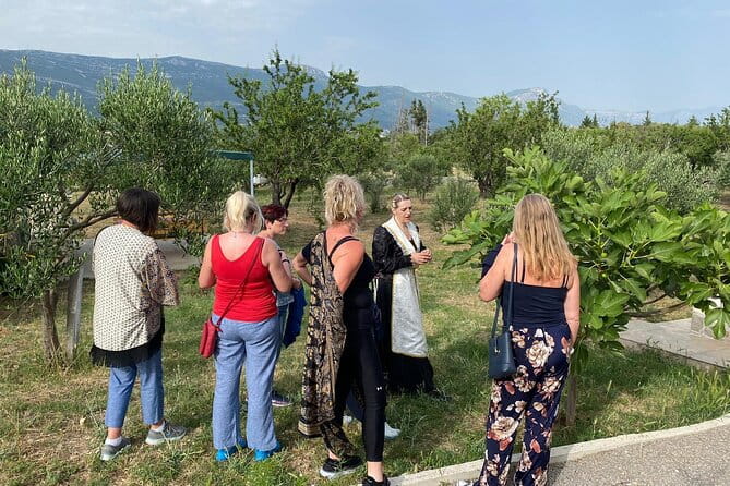 Family-run Vineyard Tour & Award Winning Wine Tasting/Delicacies - Descending into the Wine Cellar