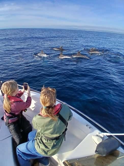 Faro: Funtastic Dolphin Watching Boat Tour - Final Thoughts: Is It Worth Your Time?