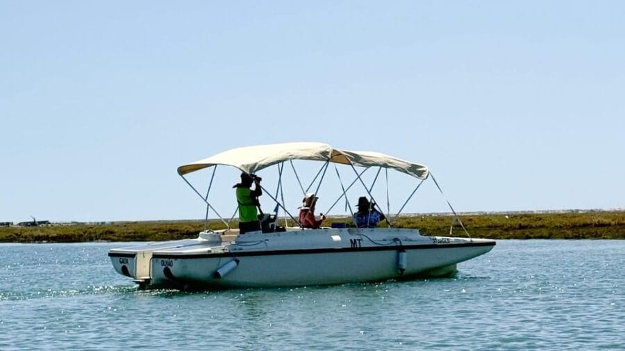 Faro: Ria Formosa Boat Tour by Eco-Friendly Solar Boat - The Sum Up: Who Should Book This?
