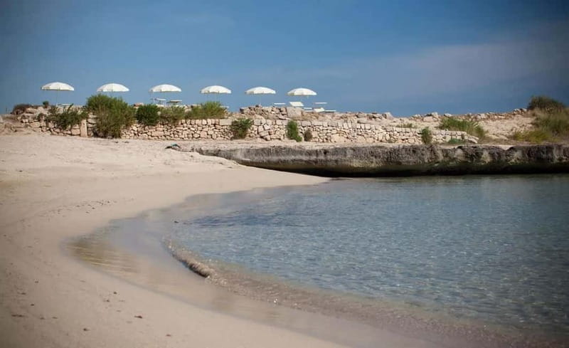 Fasano: e-bike tour to discover the wonders of the area - Highlights and Unique Stops