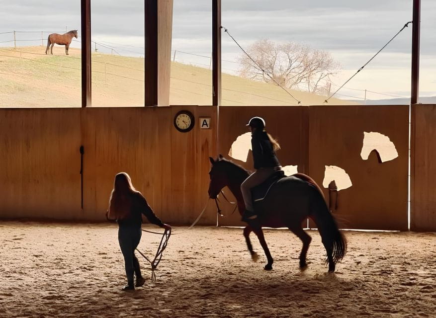 Fattoria Tègoni: horseback riding in Tuscany - Analyzing the Value: Price and Practicalities