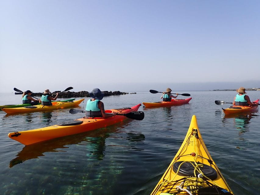Favignana full-day - Who is This Tour For?