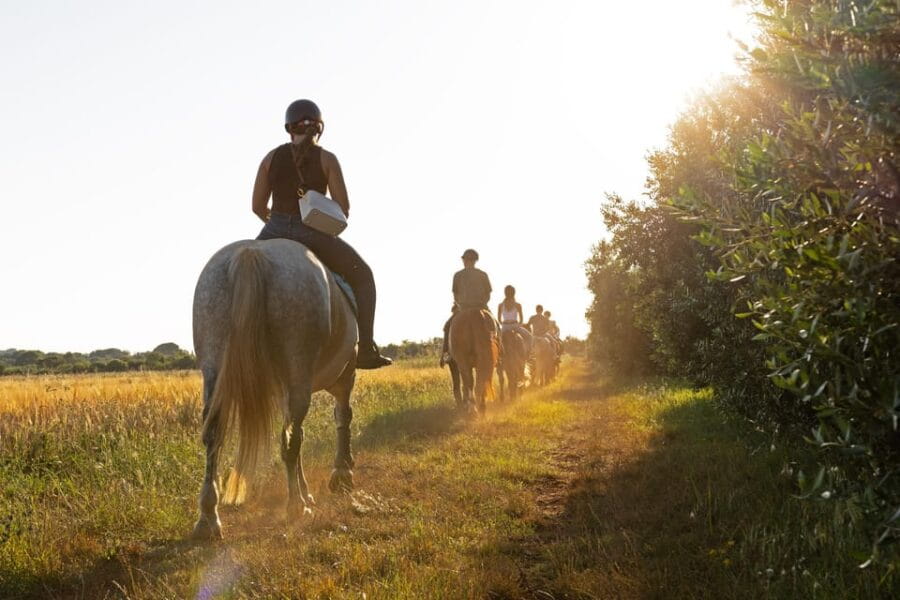 Fazana: Sunset 1-hour Horse Riding in Nature with Guide - Who Is This Experience For?
