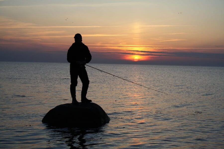 Fehmarn Heiligenhafen: Fishing tour sea fishing with a small group - Who Will Love This Tour?