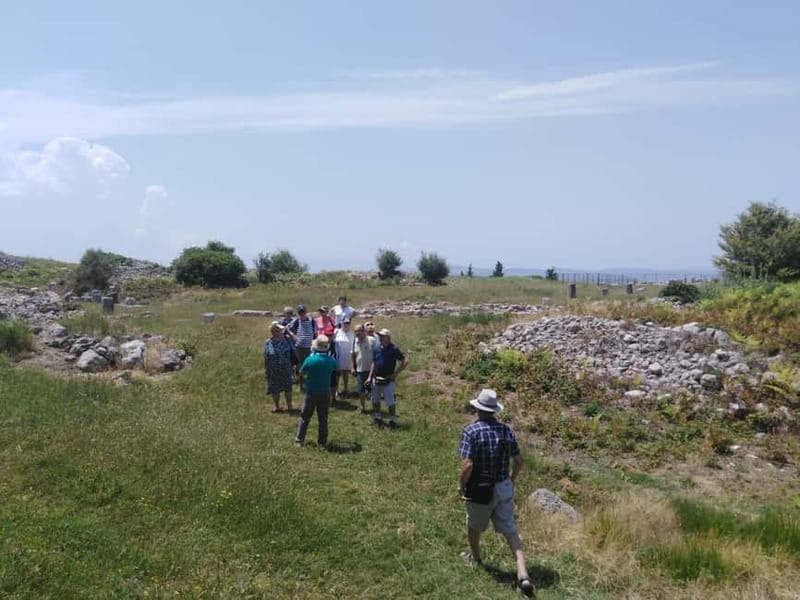 Fier: Byllis Archaeological Park Guided Tour - Practicalities: What It’s Like to Take the Tour