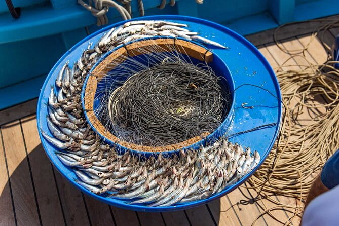 Fishing Experience Around Capri from Sorrento with Lunch Onboard - Practical Tips for Making the Most of Your Day