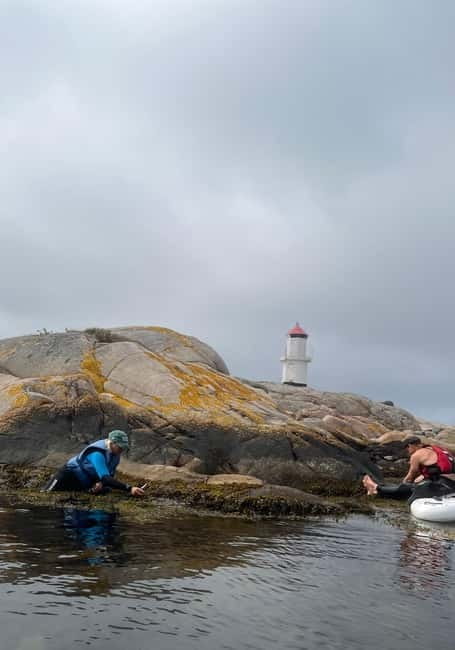Fjällbacka: Seaweed Picking and SUP Paddling Tour - Price and Logistics: Good Value for a Unique Experience