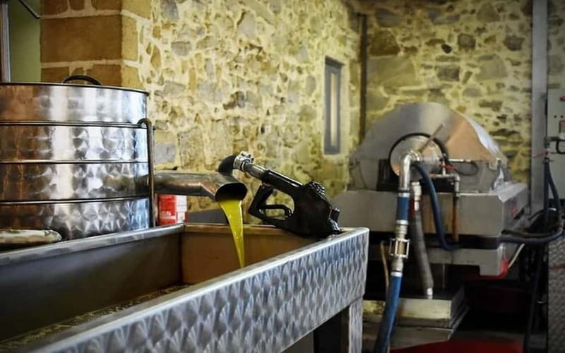 Flavors of Crete from Chania: Wine & Olive Oil Tasting Tour - A Detailed Look at the Itinerary and Experience