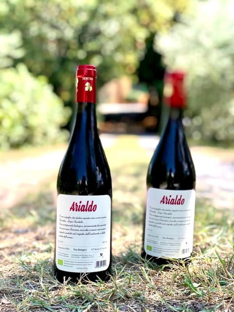 Florence: Countryside Tour with Wine Tasting & Pasta Class - Vineyard Walks and Wine Tasting