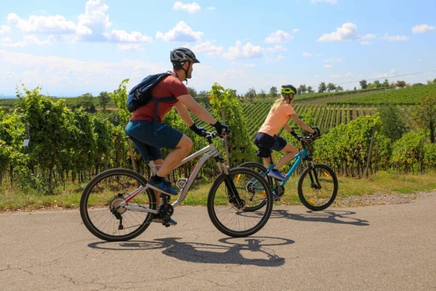 Florence: Fiesole E-Bike Tour with Olive Oil Tasting - Who Will Love This Experience?