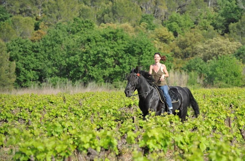 Florence: Horseback Riding, Wine Tasting & Cooking Class - Who Will Love This Tour?
