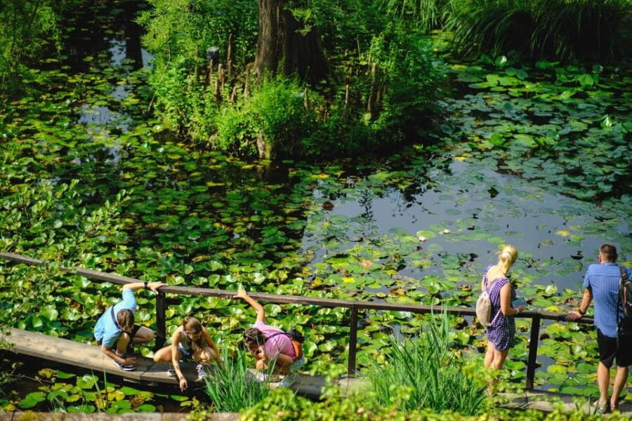 Florence: Pisa & Lucca Day Tour with Buccellato Cake Tasting - Exploring Lucca: Medieval Walls and Charming Streets