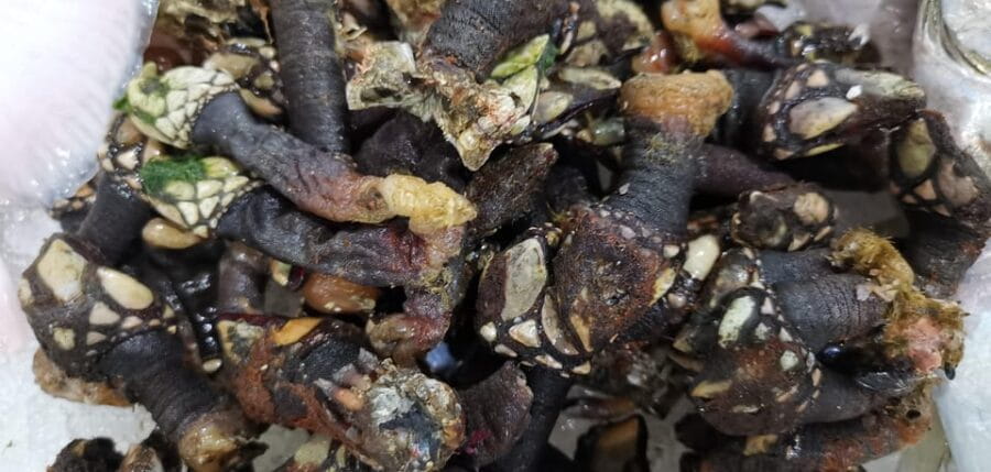 Food Market Guided Tour with Chef and Cooking Class - The Market’s Role in the Community