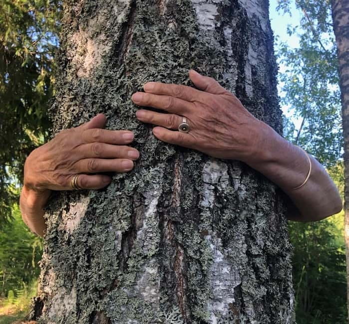 Forest Bathing in Stockholm nature with certified guide - Final Thoughts