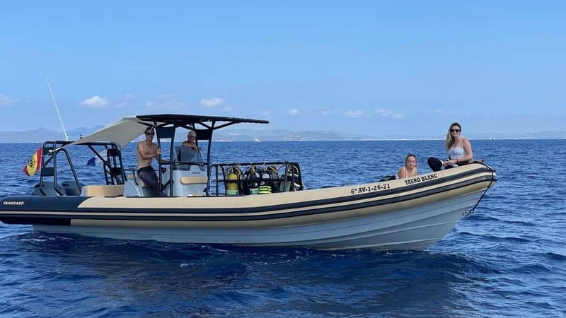 Formentera Natural Park: Snorkeling Experience - What to Expect During the Snorkeling Tour