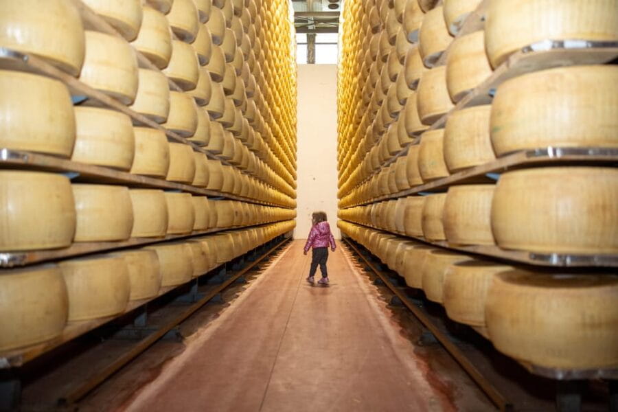 Formigine: Parmesan cheese tour with full tasting - The Art of Aging Parmesan Cheese