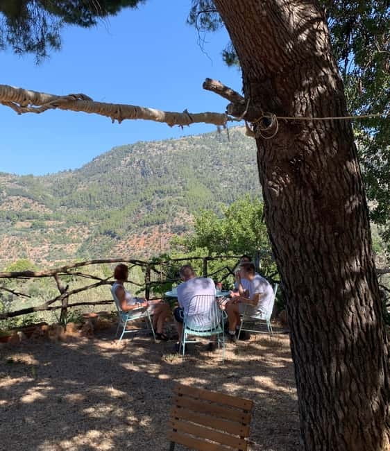 Fornalutx - hiking to the olive farm & oil tasting - Why This Tour Is a Special Way to Experience Mallorca