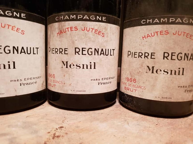 France: Private Wine Tasting Tour with Chauffeur from Paris - Who This Tour Is Best For