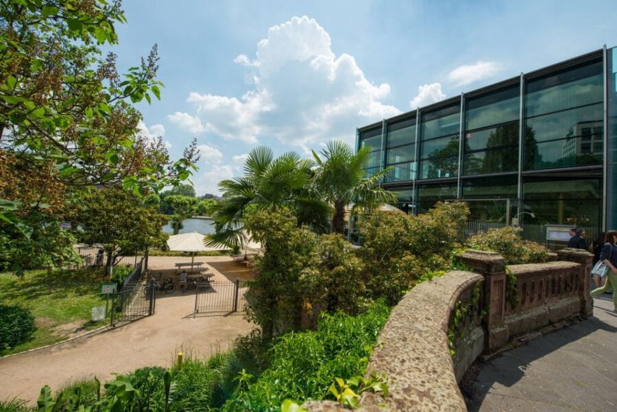 Frankfurt: Guided walk between palm trees and skyline - Walking Through Frankfurt’s Green Gems