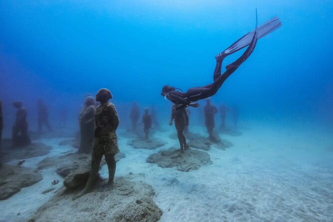 Freediving at Museum Atlantico - Who Would Love This Tour?