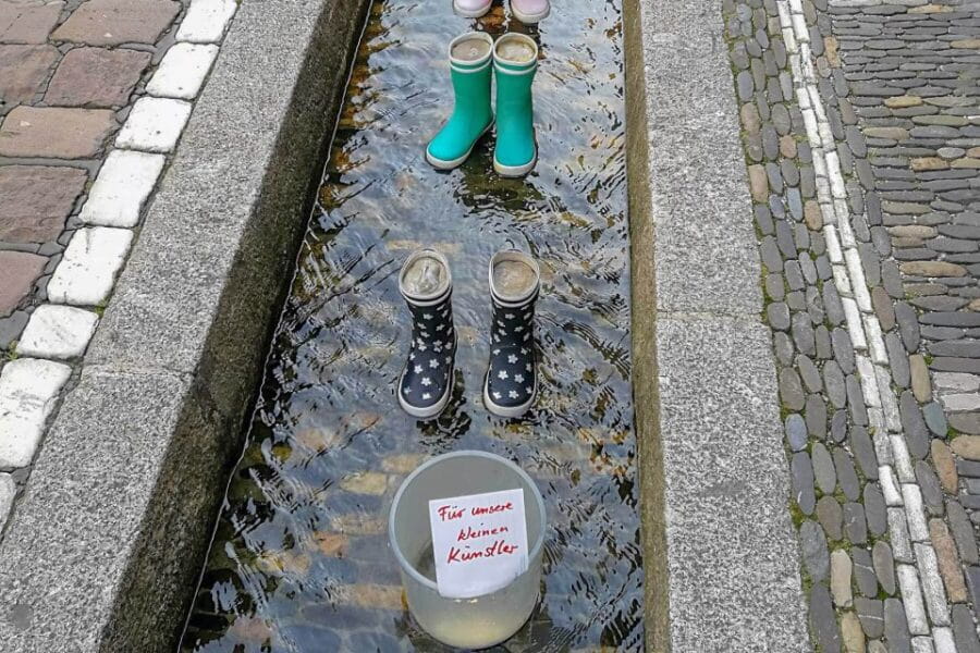 Freiburg: Gässle, Bächle and More City Tour - Who Will Love This Tour?