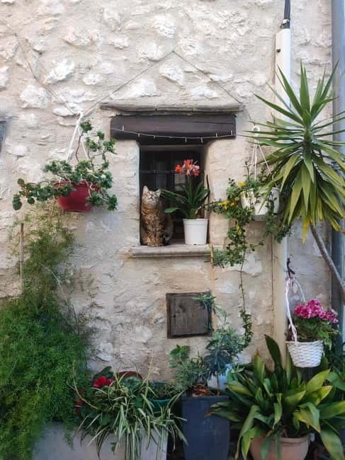 French Riviera Full Day Tour - Who Will Love This Tour?