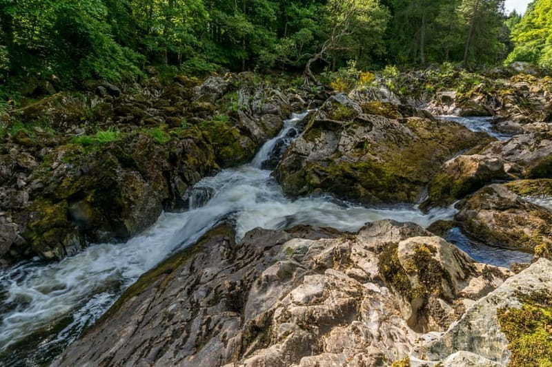 From Aberdeen: Balmoral and Royal Deeside Shore Excursion - Who Will Love This Tour?