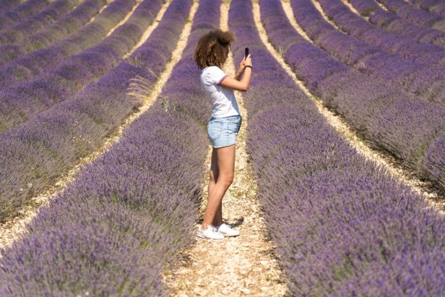 From Aix-en-Provence: Sault Lavender & Gordes Full-Day Tour - Discovering Provence’s Lavender Fields and Hilltop Villages